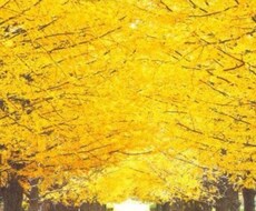 お話し相手になります イメージ1