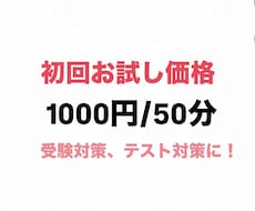 お試し用！中学生をメインに指導します イメージ1