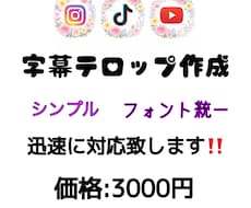 字幕テロップ作成を行います イメージ1