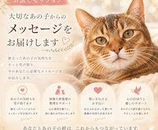 大切なペットさんに気持ちをお聞きします イメージ1