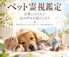 ペット霊視鑑定|言葉にならない心の声をお届けします イメージ1