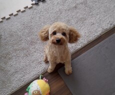 チャット待ってっ ॑꒳ ॑c)ます イメージ1