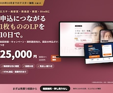 反応が取れる1枚もののLPを作ります イメージ1