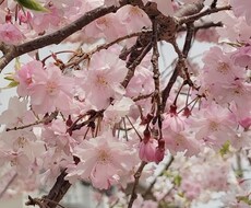 お悩み相談、霊視鑑定します イメージ1