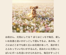 天国のあの子から、お手紙とお写真を1通お届けします イメージ1