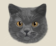 猫似顔絵描きます イメージ1