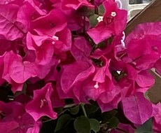 お悩み愚痴、あなたの心に寄り添います イメージ1