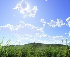 自分自身を知る為に必要な価値観リスト教えます イメージ1