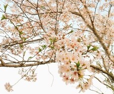 ダイヤモンドアート代行制作致します イメージ1