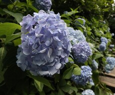 写真の素材を提供します イメージ1