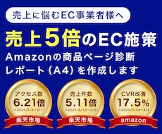 Amazon商品ページ診断レポートを作成します なぜ売れない？amazonのCVRを上げるための改善提案