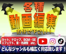 YouTube･SNS等の動画編集、格安で承ります 各ジャンル幅広く対応！動画編集、格安で承ります！