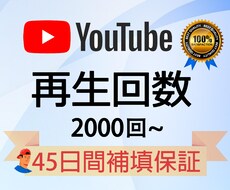 YouTube動画再生＋2000回以上宣伝します ★ 実績作る為期間限定価格★減少保証45日間★振り分け可能