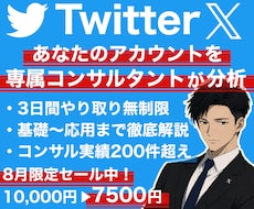 あなたのTwitter,Xアカウントコンサルします アカウントに必要な運営法等をプロが３日間解説！質疑応答あり◎
