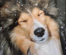 今聞いてほしいこと、伺います 今、悩みを話したい、答えの出ないあなたの心に寄り添います。