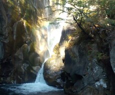 ☆「大切なモノが消えちゃった？」☆【 落とし物 紛失物 探し物 】の行方を占います。