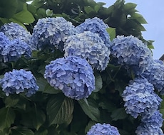 霊視・直感でお悩み鑑定します 質問１つ+現在未来問わず視えた物のキーワードをお伝えします