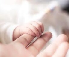 子育ての悩み、不安、嬉しいこと寄り添います イメージ1
