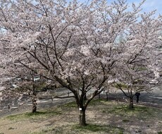 苦しんだり、困っている人を助けます イメージ1