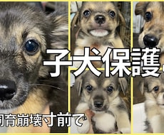 YouTubeの動画制作を行います イメージ1