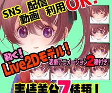 SNSや配信や動画で使えるキャラクターを販売します 表情豊かなツインテール少女のLive2Dモデルです