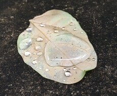 あなたのあと一歩を後押しします イメージ1
