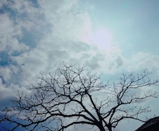 あの人の本音を視ます 本音と建前の本音を追及★あの人の奥底に眠る言葉とは？