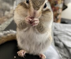 なんでも聞きます イメージ1