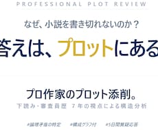 プロ作家のプロット添削。最適なアドバイスを伝えます なぜ小説を書き切れないか？答えはプロットにあるかもしれません
