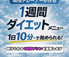 初心者向けのダイエットメニュー作ります イメージ1