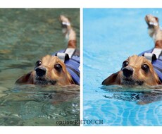人物をはじめ、いろいろな写真加工できます イメージ1