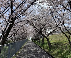 日常生活の愚痴聞きします イメージ1
