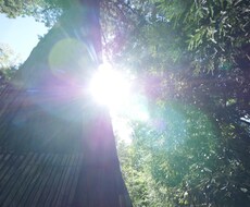 お相手の気持ちを透視します 今のお相手の気持ちをお教えします。