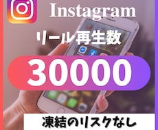 インスタのリール再生回数3万回増やします イメージ1