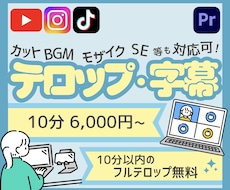 テロップ、字幕、文字起こし代行します 10分6,000円！10分以内のフルテロップ無料！
