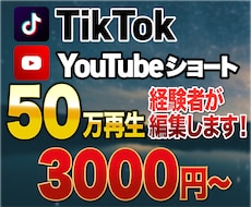 TikTok・YouTubeショートの編集をします イメージ1