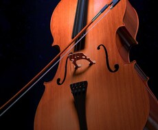 弦楽器で弾きたい曲の編曲をします イメージ1