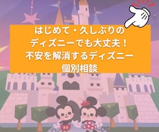 久しぶり×初めてのディズニーお困り事を解決します 遠方×子連れ経験者が実体験を元に個別相談をします
