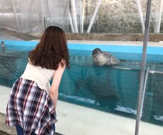 頑張り屋のあなたの恋愛相談のります イメージ1