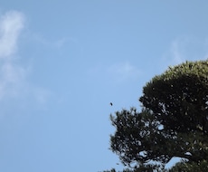 元 美大生と、色んなお話し(雑談)できます 普段の生活とは少し違う世界を♪
