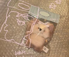 お洒落なデザインをします イメージ1