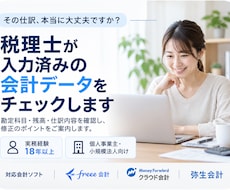 税理士が入力済みの会計データをチェックします イメージ1