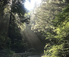 旅行先のおすすめの場所の提供やアドバイスをします イメージ1