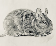 鉛筆画を作製します イメージ1