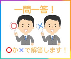 一問一答！「〇」か「×」で解説をつけて回答します 簡単・迅速に相談・解決したい方におススメのサービスです！