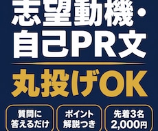丸投げOK　志望動機・自己PR文を作成します イメージ1