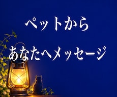 ペットからあなたへ★★メッセージをお届けします 見えても見えなくてもそばにいるペットからあなたへ