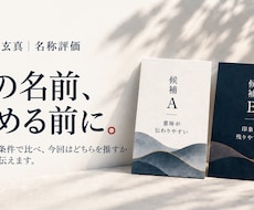 ネーミング専門家が名前の候補を比較します 決める前に同名を調べ、2案から推す方を伝えます