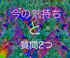 お相手の今のお気持ち鑑定　質問2つ出来ます ➕あなたからの質問をさらに２つ追加出来ます！