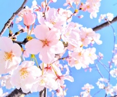 1分単位OK！！どんなお悩みでもお聞きいたします イメージ1